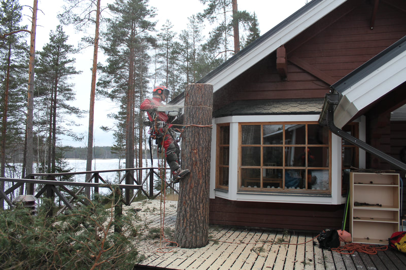 Palvelut - Metsuri- Ja Arboristipalvelu J. Tervala